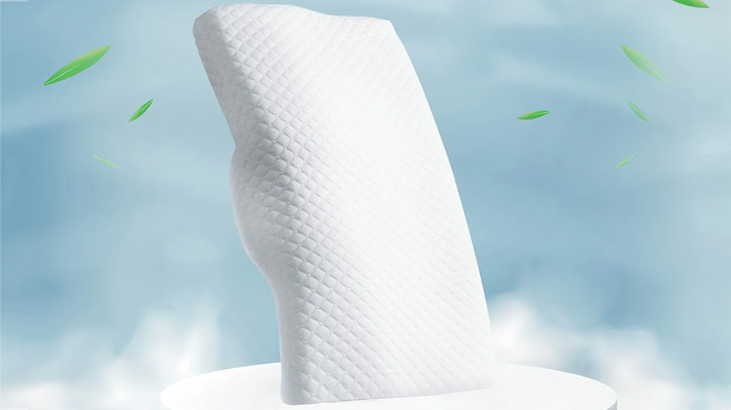 Memory Foam Cervical Pillow