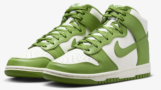 Nike Dunk High Shoes