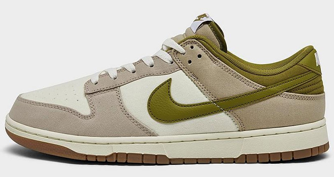 Nike Dunk Low Retro Casual Shoes