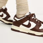 Nike Dunk Low Sneakers in Brown