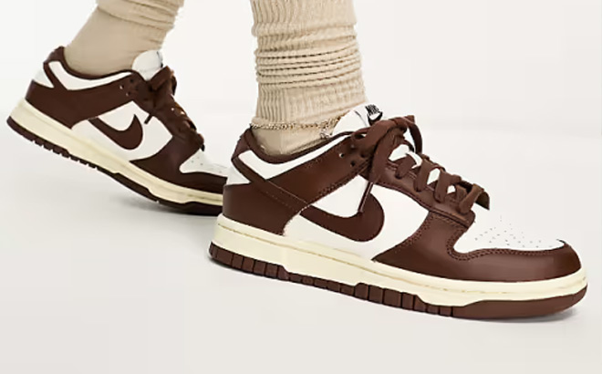 Nike Dunk Low Sneakers in Brown