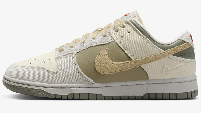 Nike Dunk Low Womens Shoe