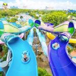 People Playing at Aquatica Orlando Water Slides