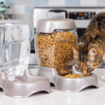 Petmate Pet Feeder