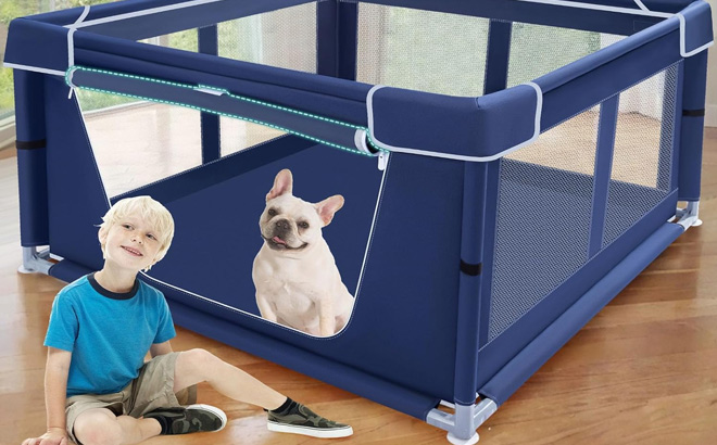 Puppy Playpen with Gate