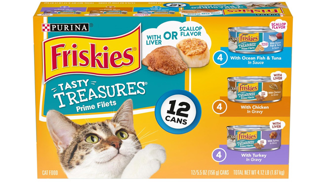 Purina Friskies Gravy Wet Cat Food 12 Pack