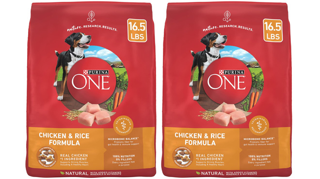 Purina ONE Chicken and Rice Formula Dry Dog Food