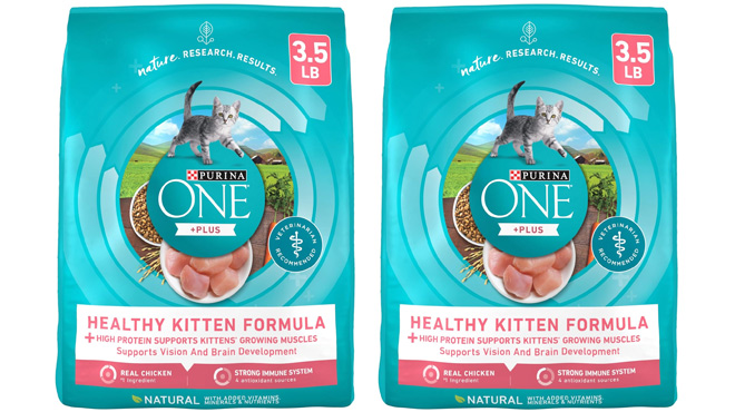 Purina ONE High Protein Kitten Food