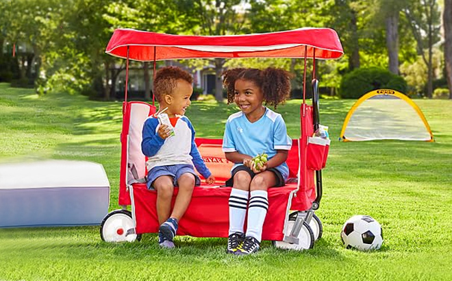 Radio Flyer 3 in 1 EZ Fold Wagon