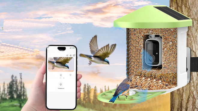 Rellasy Smart Bird Feeder with Camera 2