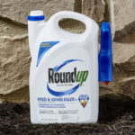 Roundup Ready To Use Weed Grass Killer on the Ground