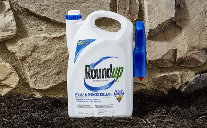 Roundup Ready To Use Weed Grass Killer on the Ground