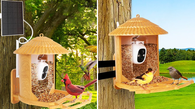 Smart Bird Feeder with Camera