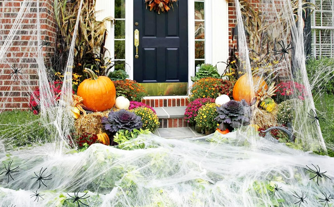 Spider Webs Halloween Decorations