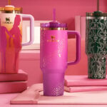 Stanley x Barbie 70s Superstar 40 Ounce Quencher Tumbler