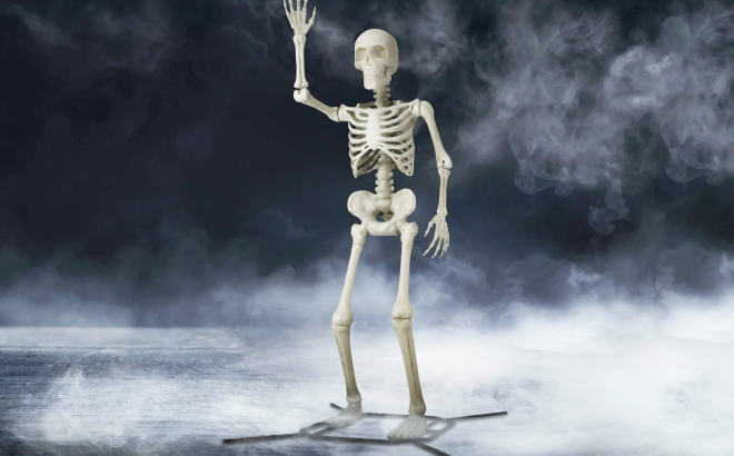 Steve the Poseable 10 Feet Skeleton Decoration