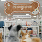 Targets The Cuddle Collab