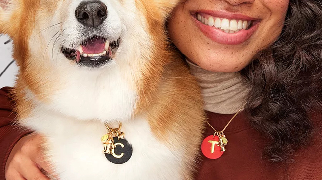 The Cuddle Collab Collar Charms