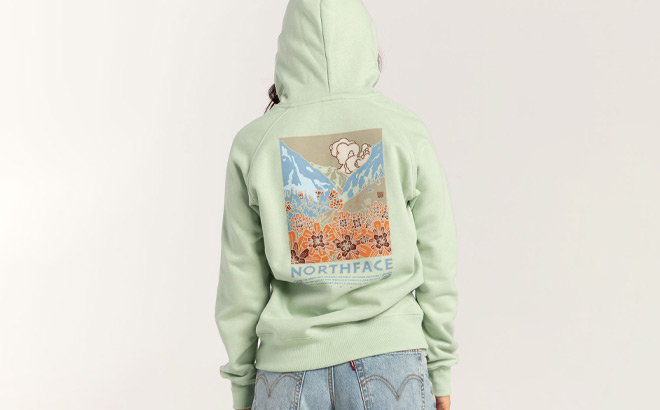 The North Face Landscape Womens Hoodie From Back