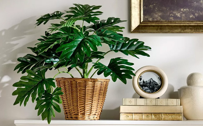 Threshold Philodendron Decorative Plant in Basket