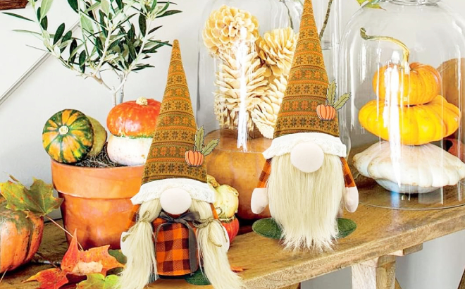 Two Fall Gnomes Plush Decor