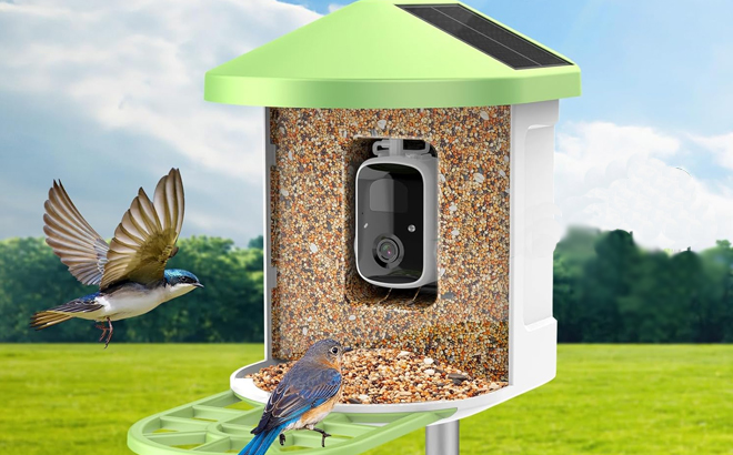 Two birds having a meal using a Rellasy Smart Bird Feeder with Camera 1