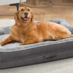 Upvilla Large Orthopedic Dog Bed