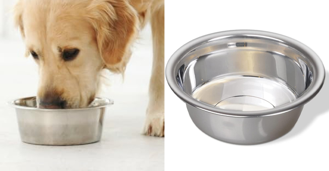 Van Ness Pets Medium Lightweight Stainless Steel Dog Bowl 32 Ounce