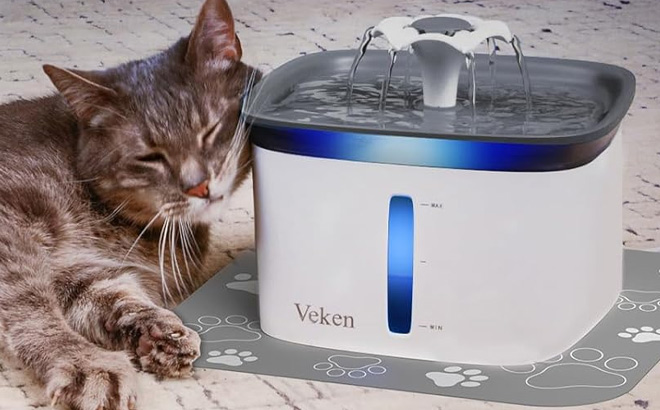 Veken Pet Fountain 1