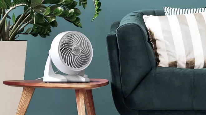 Vornado Room Air Circulator Fan on the Table