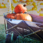 WonderFold S1 Basic Outdoor Folding Wagon