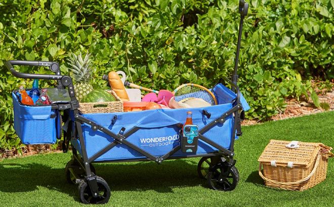 Wonderfold S3 Outdoor Folding Wagon in Blue Color