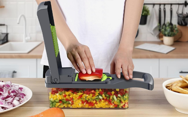 13 in 1 Vegetable Chopper and Slicer