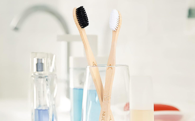 2 Bamboo Toothbrushes in a Glass