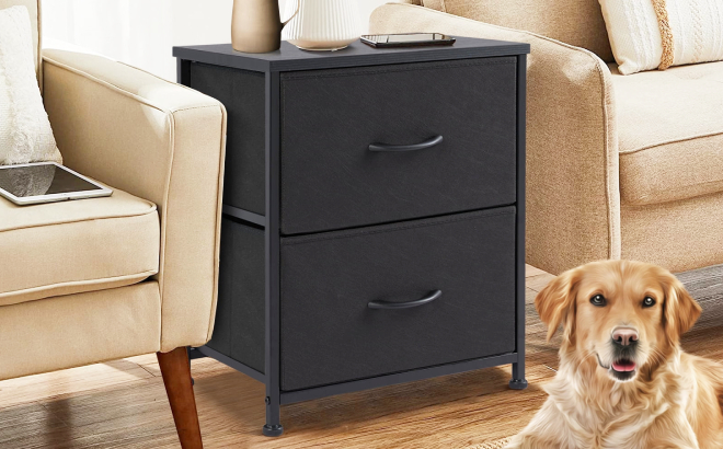 2 Drawer Nightstand