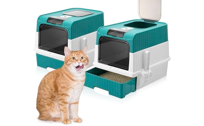 2 Pack Large Foldable Cat Litter Box