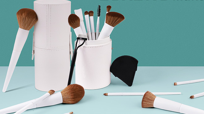 20 Piece Makeup Brushes