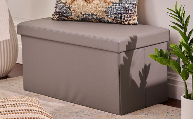 30 Inch Collapsible Storage Bench