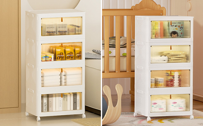 4 Tier Storage Organizer