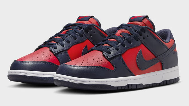 5 Nike Dunk Low Retro Mens Shoes