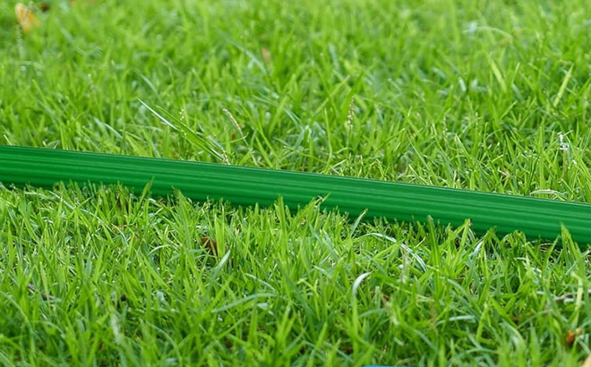 50 Feet Garden Hose