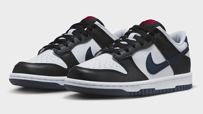 6 Nike Dunk Low Big Kids Shoes