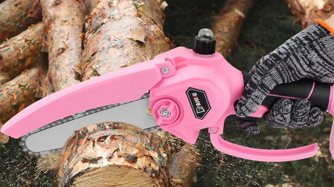 6 inch Mini Chainsaw Set with Oiler System Battery