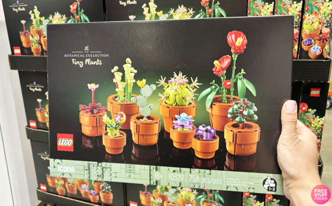 A Person Holding LEGO Icons Tiny Plants Building Set