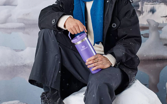 A Person Holding Stanley Winter Wonderland IceFlow Flip Straw Tumbler