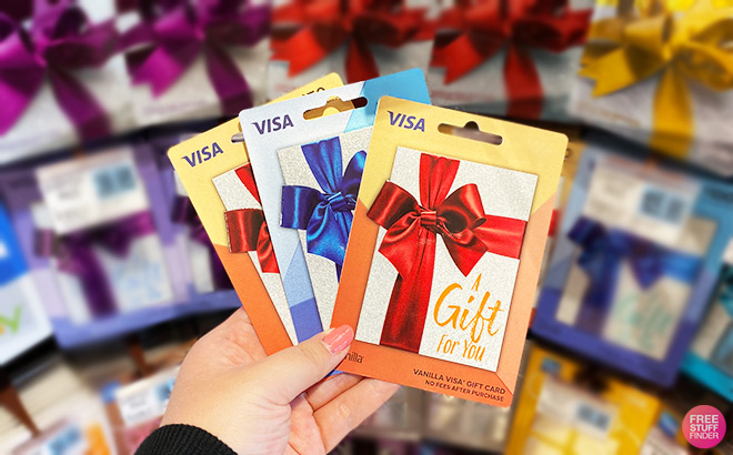 A Person Holding Visa Gift Cards