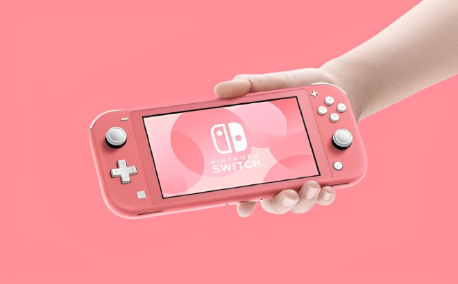 A Person Holding a Nintendo Switch Lite