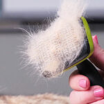 A Person Using the Pecute Self Cleaning Slicker Brush for Pets