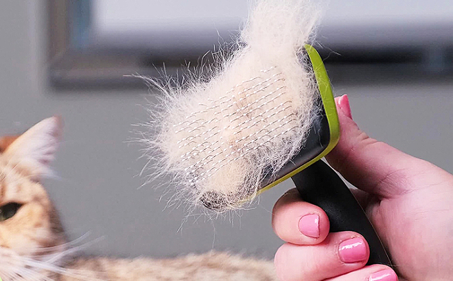 A Person Using the Pecute Self Cleaning Slicker Brush for Pets