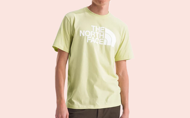 A Person Wearing a The North Face Mens Half Dome Logo T Shirt